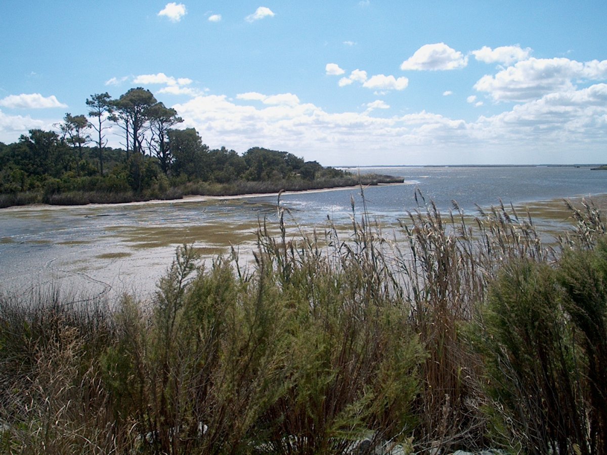 Bayside, VA - False Cape State Park - Wikipedia