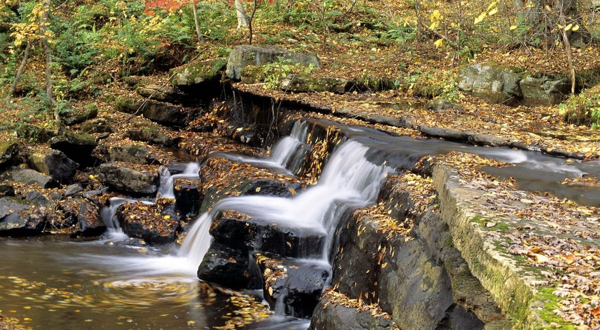 Indian River, VA - Clinch Valley Program | The Nature Conservancy in Virginia